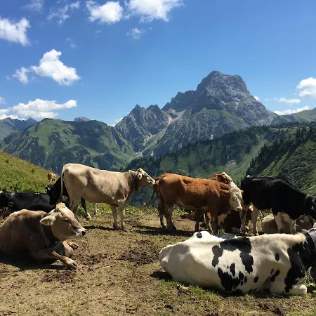 Bergfex Panorama * Oberstdorf