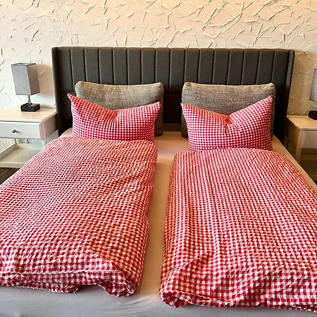 Rubihorn Mit Netflix, Sauna Und Sommer-bergbahnticket Apartment *